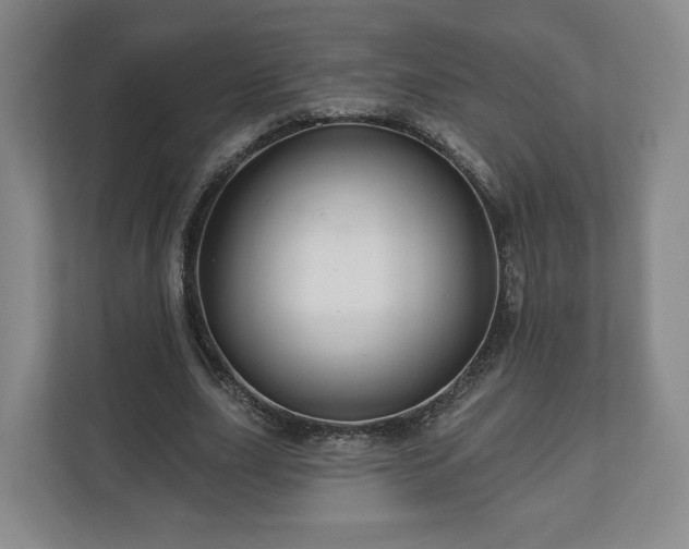 X0000111200631200907081242