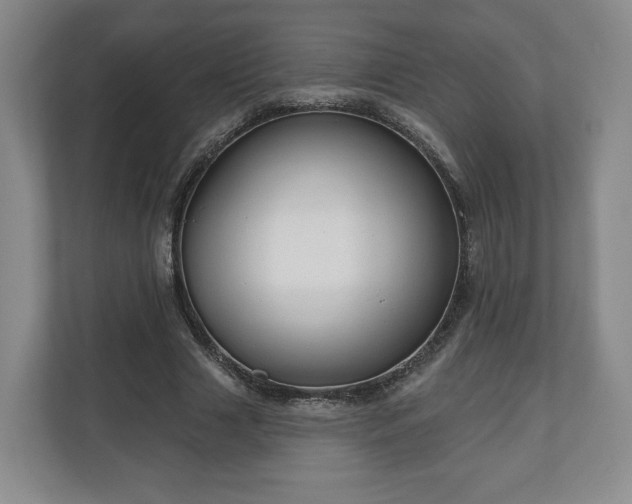 X0000111200633200907081242