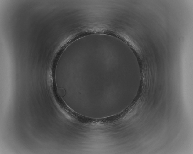 X0000111200634200907081242