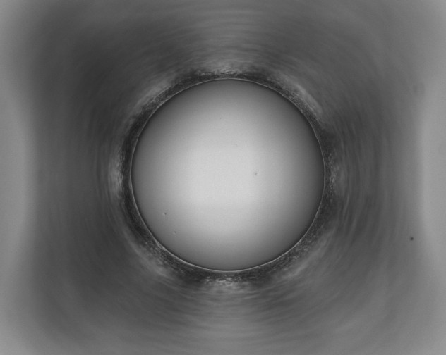 X0000111200635200907081242