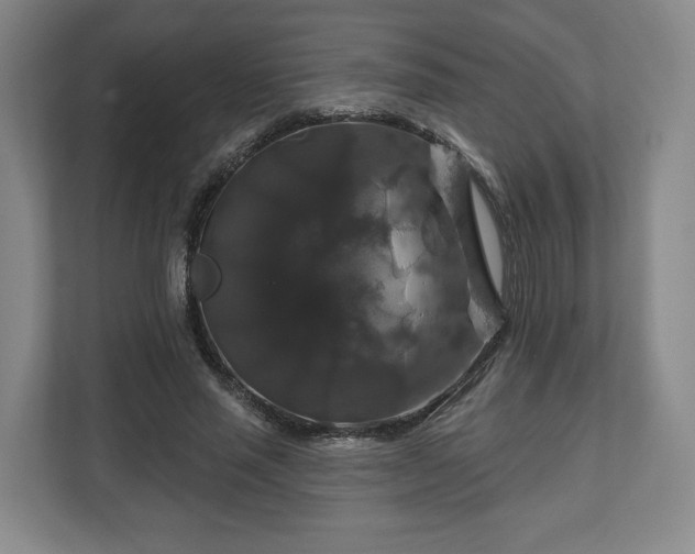 X0000111200637200907081242