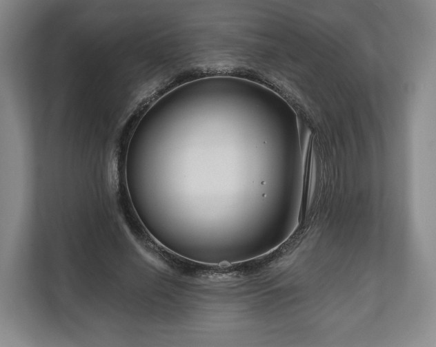 X0000111200638200907081242