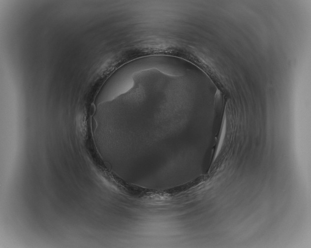 X0000111200642200907081242