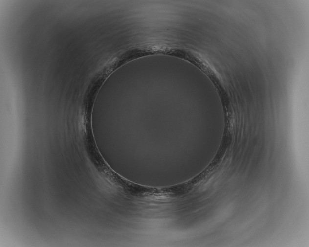 X0000111200643200907081242