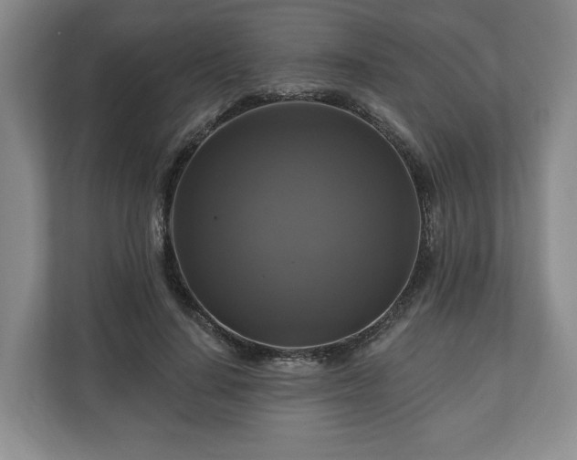 X0000111200644200907081242