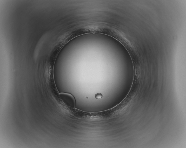 X0000111200645200907081242