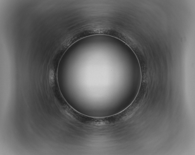 X0000111200646200907081242