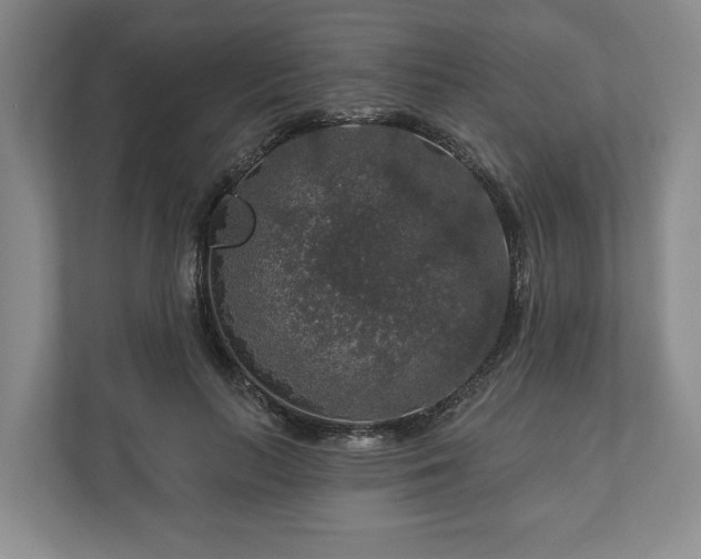 X0000111200647200907081242