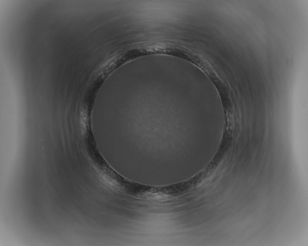 X0000111200648200907081242