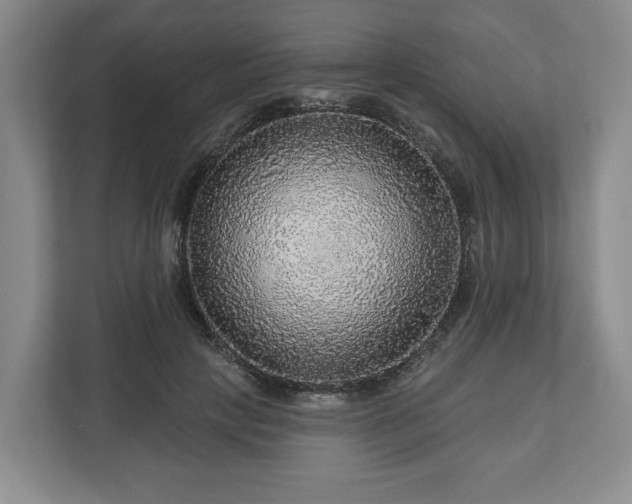 X0000111200649200907081242