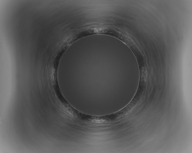 X0000111200650200907081242