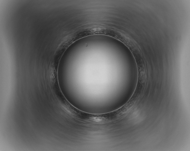 X0000111200654200907081243