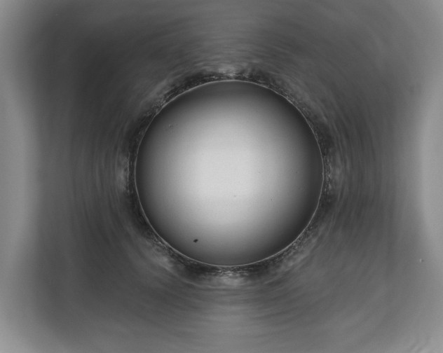 X0000111200656200907081243