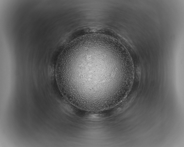 X0000111200657200907081243