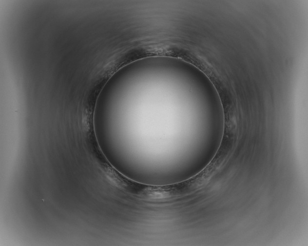 X0000111200658200907081243