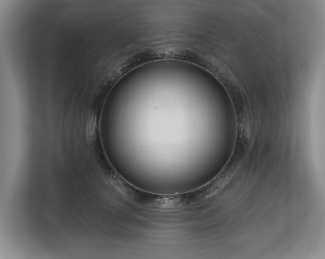 X0000111200660200907081243