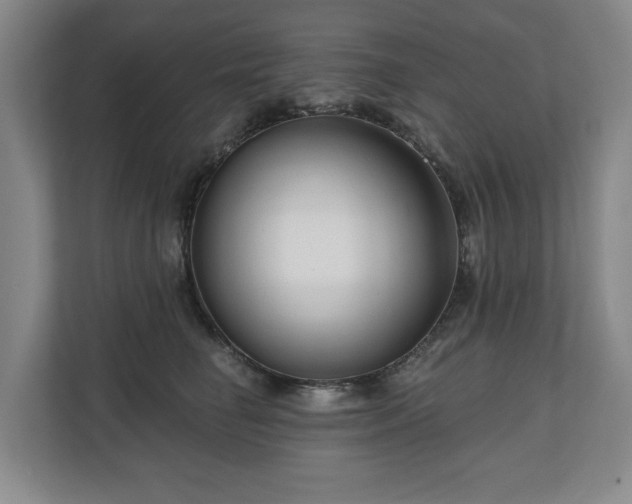 X0000111200662200907081243