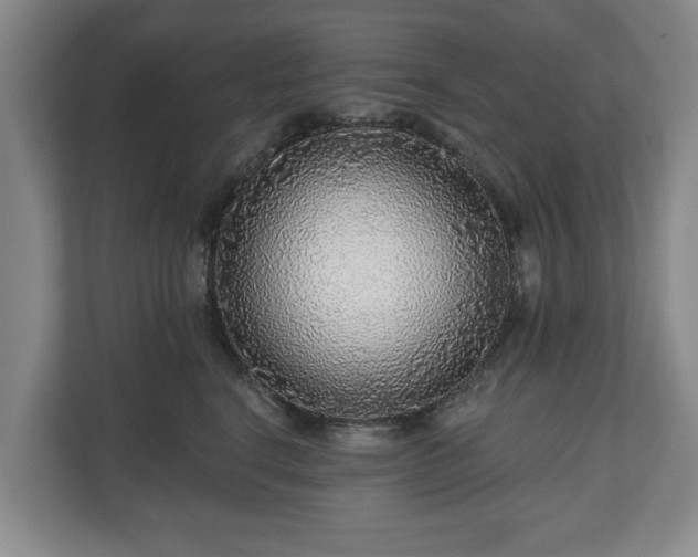 X0000111200664200907081243