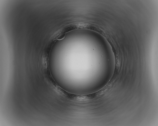 X0000111200666200907081243