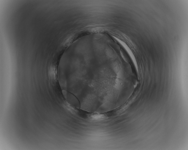 X0000111200669200907081243