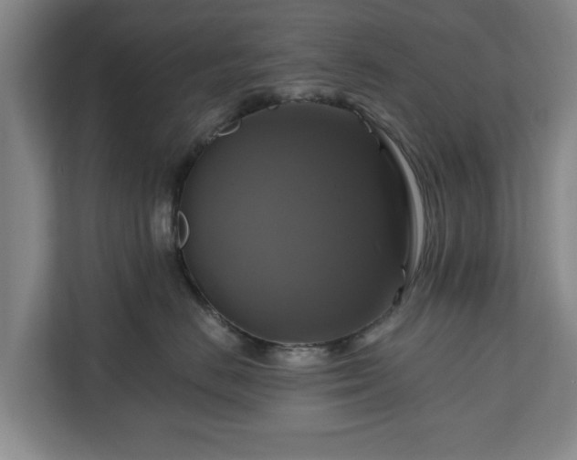 X0000111200670200907081243