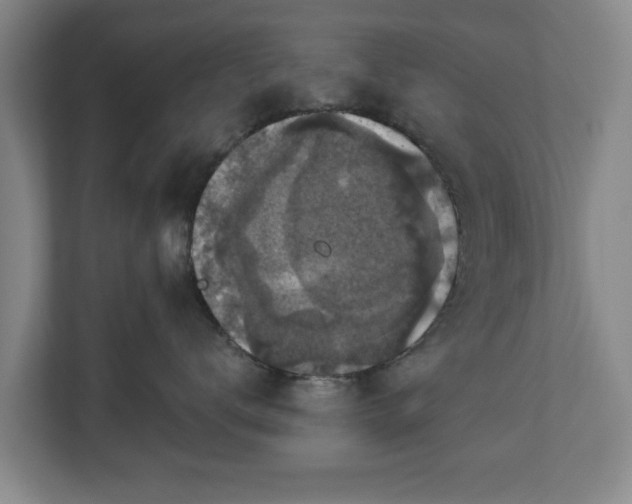 X0000111200672200907081243