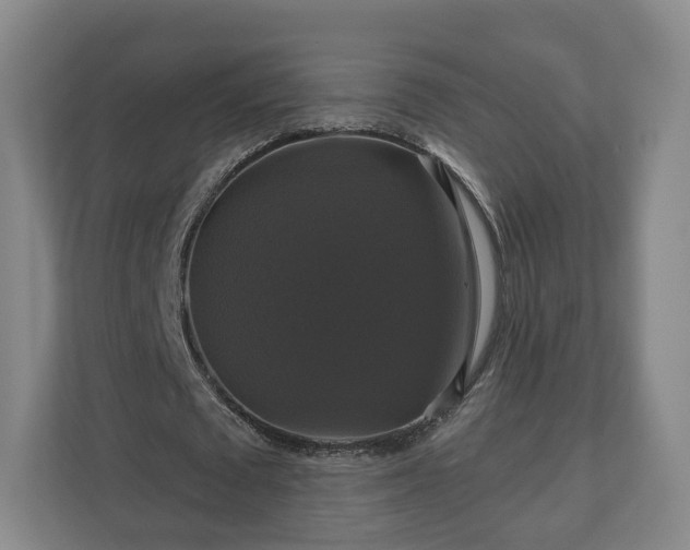 X0000111200673200907081242