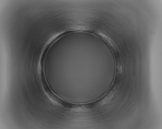 X0000111200674200907081242