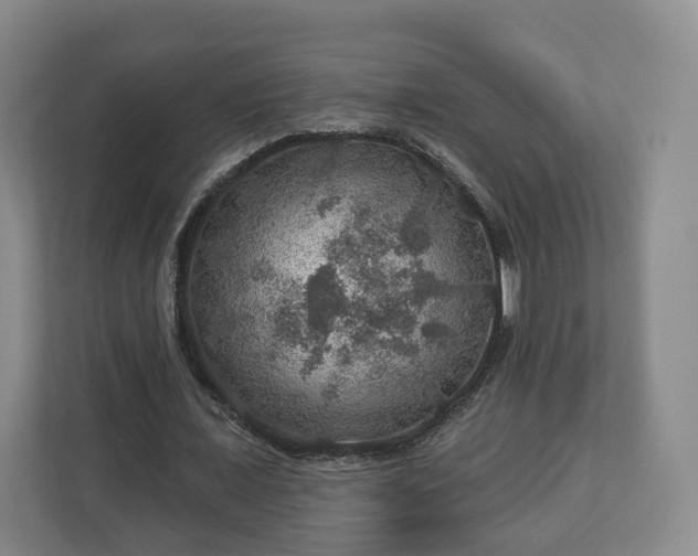 X0000111200675200907081242