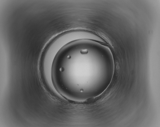 X0000111200676200907081242