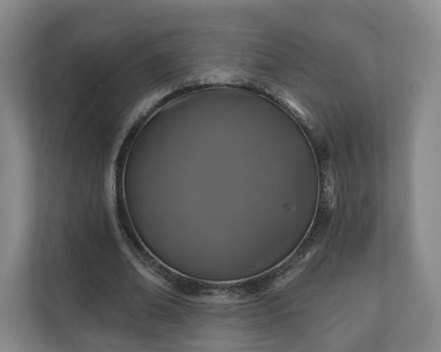 X0000111200678200907081242