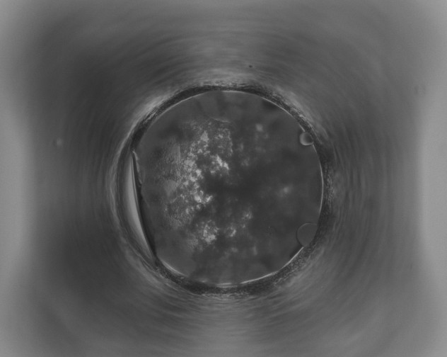 X0000111200679200907081242