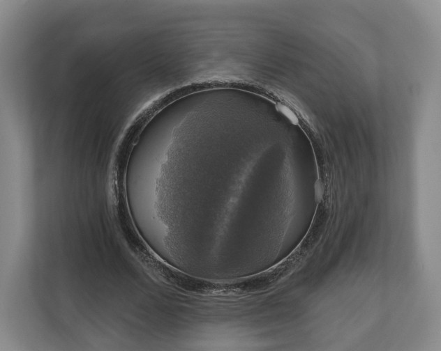 X0000111200680200907081242