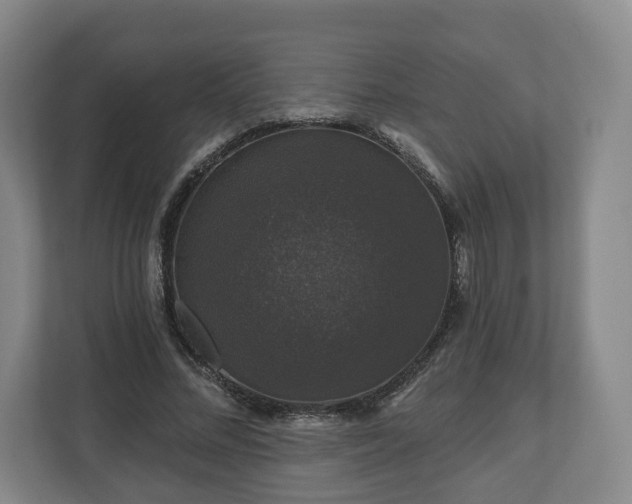 X0000111200684200907081242