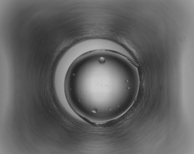 X0000111200685200907081242