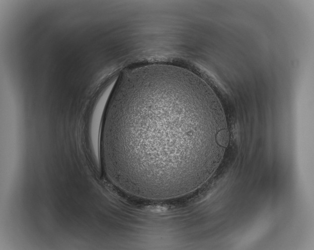 X0000111200687200907081242