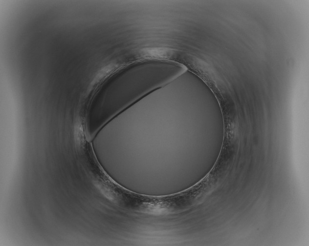 X0000111200688200907081242