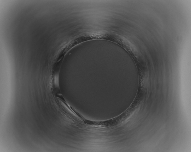 X0000111200689200907081242