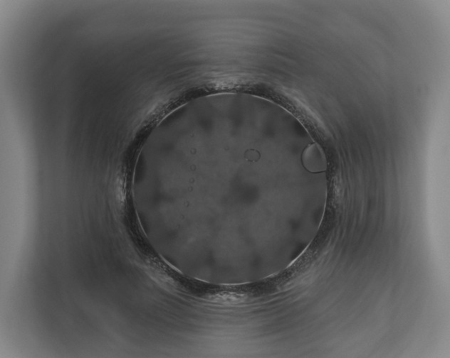 X0000111200691200907081242