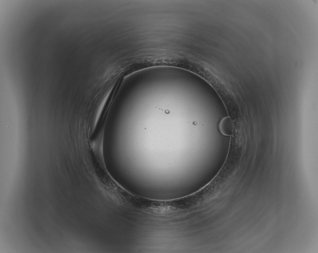 X0000111200695200907081242