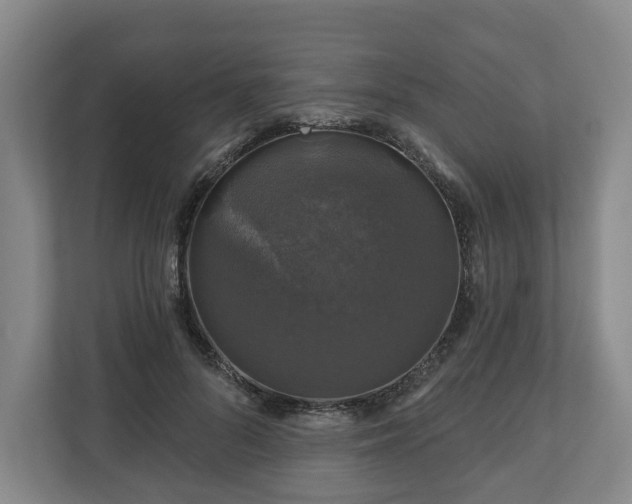 X0000111200696200907081242