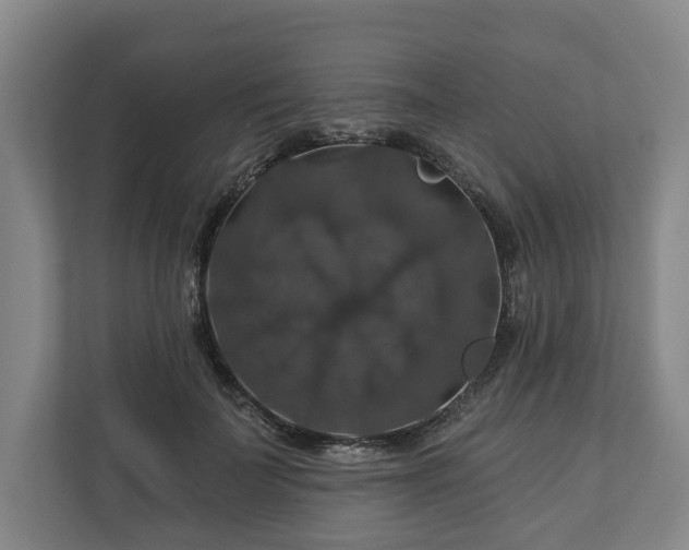 X0000111200699200907081242