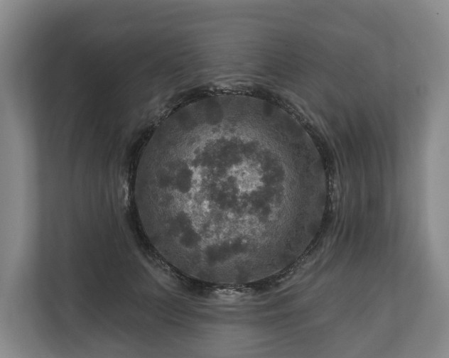 X0000111200703200907081242