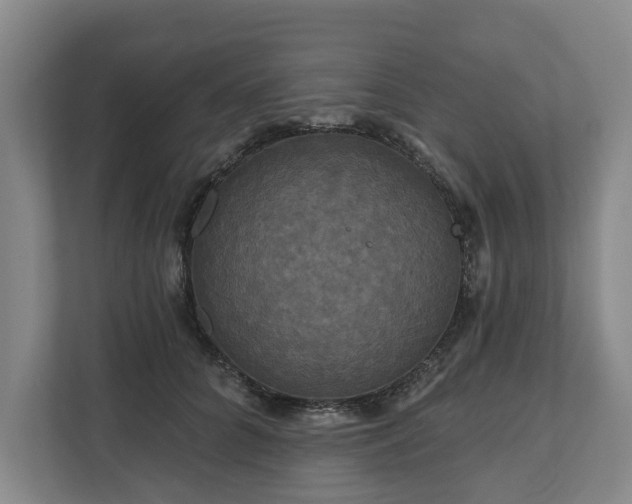 X0000111200704200907081242