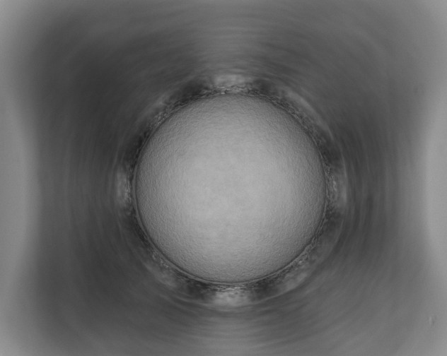 X0000111200705200907081242