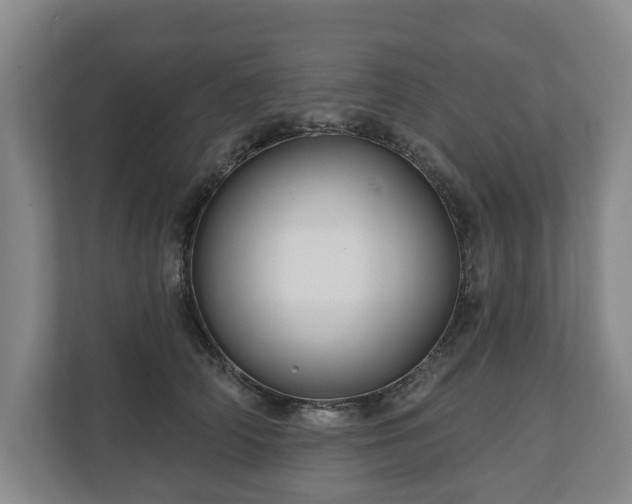 X0000111200706200907081242