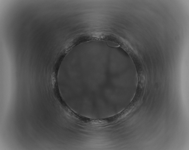 X0000111200707200907081242