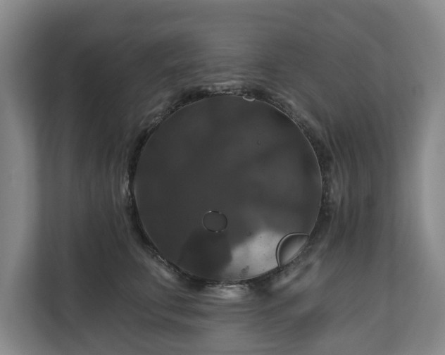 X0000111200711200907081242