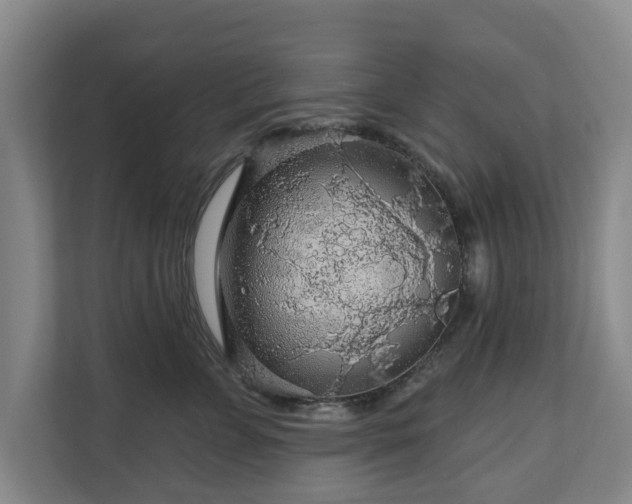 X0000111200715200907081242