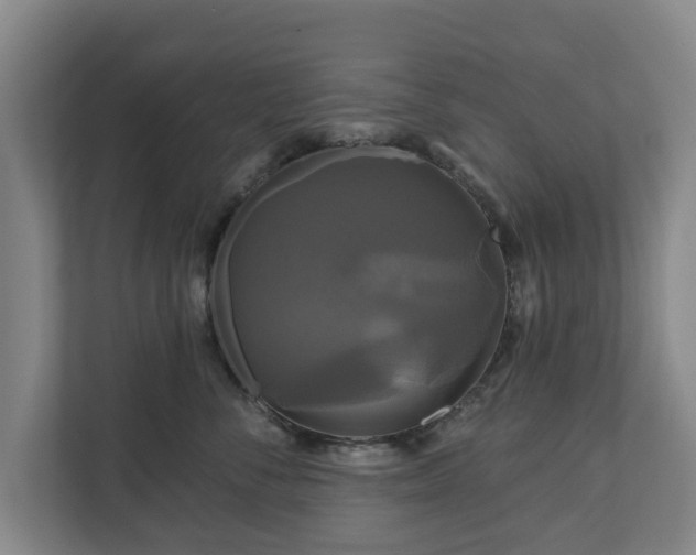 X0000111200716200907081242